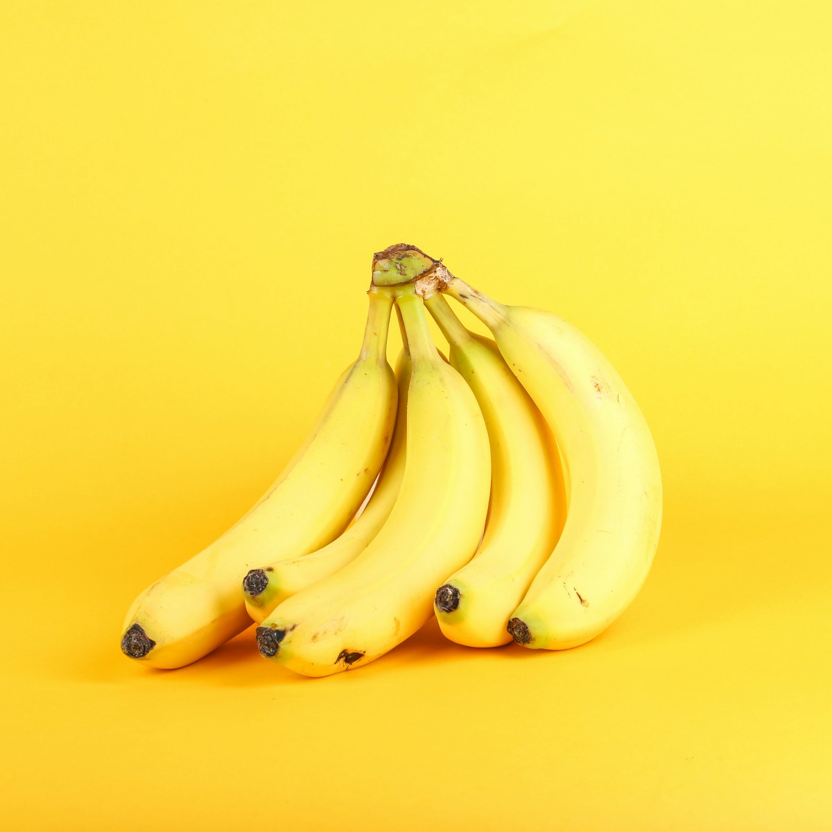 Bananas — export quality