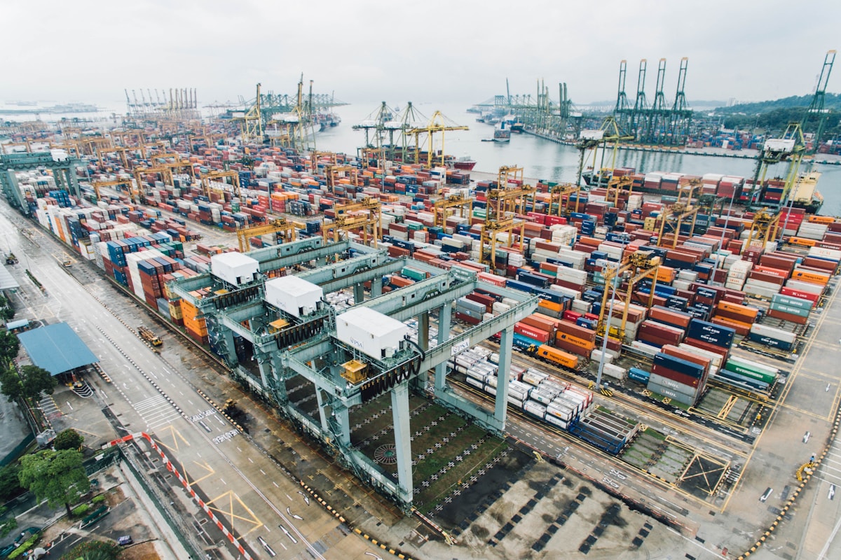 MDF Exports & Imports launches