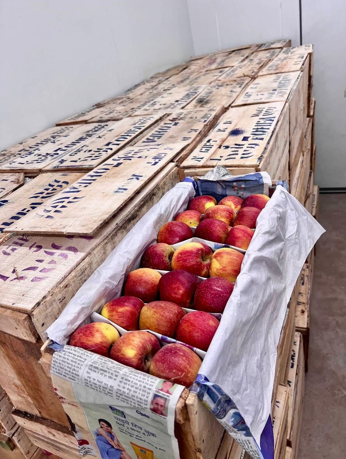 Apples packed in wooden crates inside a cold storage facility